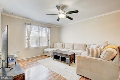 4128 Birch Dr, Huntingtown, MD 20639 - photo 5