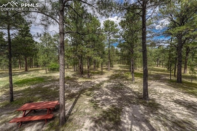 8510 Wilderness Dr, Colorado Springs, CO 80908 - photo 4