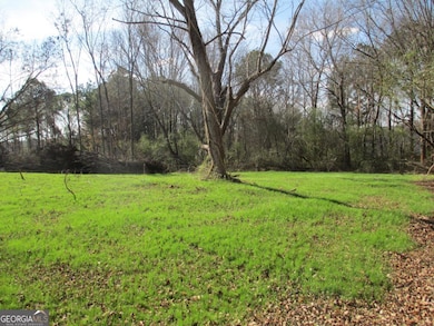 760 Carlton Johnson Rd, Waco, GA 30182 - photo 7