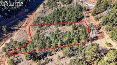 741 Pikes Peak Dr, Divide, CO 80814 - photo 3