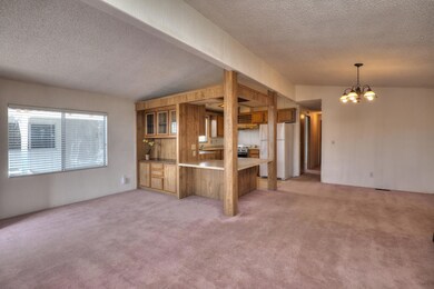 Open Plan