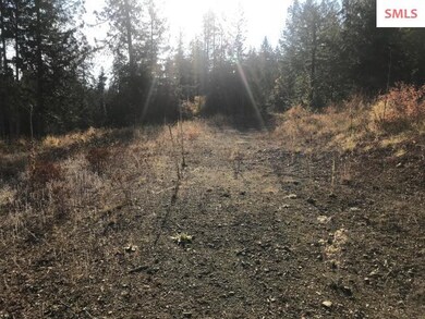 NKA Audrey Ln, Sagle, ID 83860 - photo 2