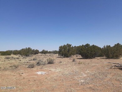 10 Acre 17xx Buffington Hill Rd, Heber, AZ 85928 - photo 3