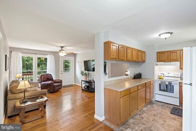 7169 Eggbornsville Rd, Rixeyville, VA 22737 - photo 7