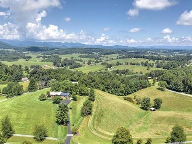 321 Gouges Branch Rd, Leicester, NC 28748 - photo 3