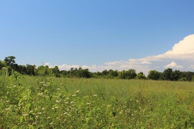 Fields