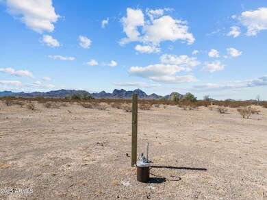 39003 Avenue 41 E, Salome, AZ 85348 - photo 6