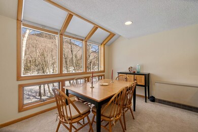 32 Loonwood Dr unit 1, Lincoln, NH 03251 - photo 7