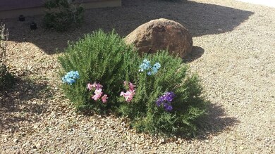 20170317_142142_resized