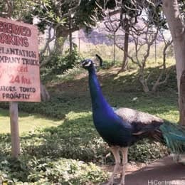 84-754 Ala Mahiku St unit 935B, Waianae, HI 96792 - photo 2