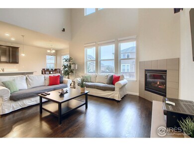 263 Vialpando St, Brighton, CO 80601 - photo 3