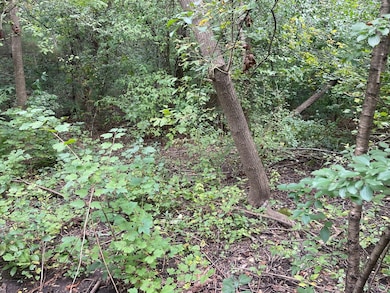 1351 N Sheridan Rd, Lake Forest, IL 60045 - photo 4