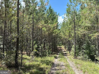 0 Black Creek Rd, Gordon, GA 31031 - photo 2