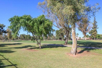 Backyard Golf Course View