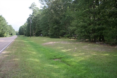 1211 Wade Patrick Rd, Brandon, MS 39042 - photo 3