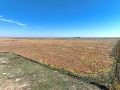 000 S Eagle St, Dighton, KS 67839 - photo 4