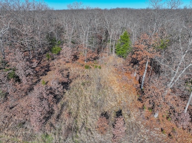 000 SE 1151, Dallas Township, MO 64738 - photo 6