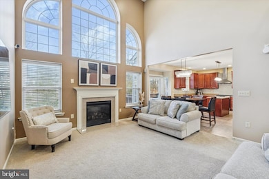 2009 Canyon Creek Rd, Gilbertsville, PA 19525 - photo 6