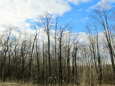 19 acres waiting for YOUR dream home!