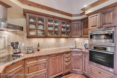 630 S Mill St unit 2, Aspen, CO 81611 - photo 5