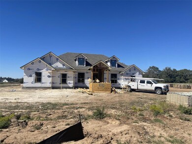 1032 Leo Ln, Poolville, TX 76487 - photo 4