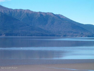 Turnagain Arm Whales