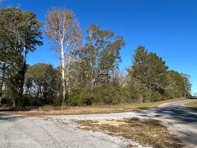 0 Warren Cook Rd, Mendenhall, MS 39114 - photo 6