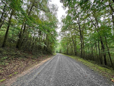 0 Camp Mountaineer Rd, Morgantown, WV 26508 - photo 2