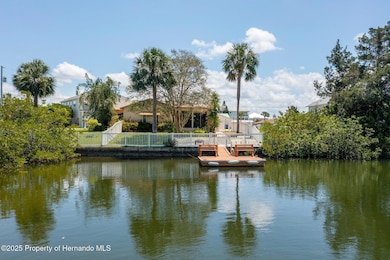 4315 Flexer Dr, Hernando Beach, FL 34607 - photo 3