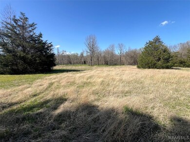 0 Barganier Rd unit 572423, Cecil, AL 36013 - photo 3