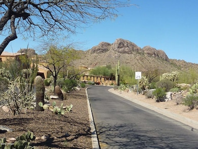 Road into community 2