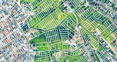 3613 Camino Real, Los Angeles, CA 90065 - photo 2