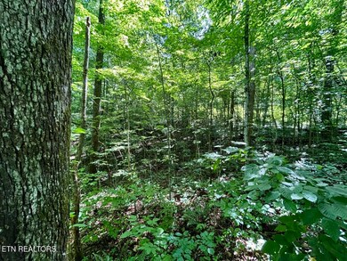 TBD Grand Country Dr, Cosby, TN 37722 - photo 7