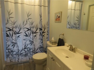 LOWER LEVEL REMODLED BATH, ENTRY FROM 4TH BEDROOM OR HALLWAY