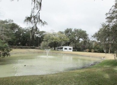 6226 Massey Rd, Zephyrhills, FL 33542 - photo 4