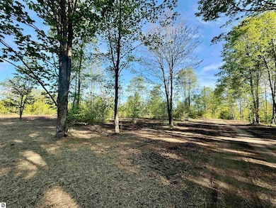 1155 E Solaris Way, Maple City, MI 49664 - photo 6