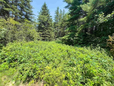 31 Privacy Ln, Concord, VT 05824 - photo 3