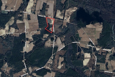 TBD Highway 308 unit Lot 1, Galivants Ferry, SC 29544 - photo 7