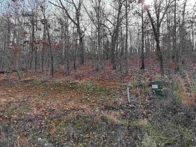 Tract 91 Vernon Ct, Austin, AR 72007 - photo 2