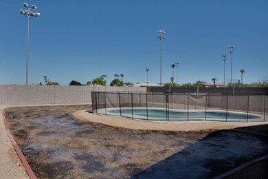 Back Yard (school playing field behind)