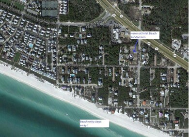 Heron at Inlet Beach Arial View