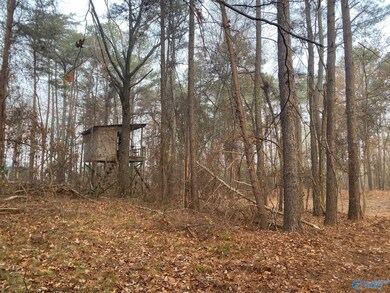4+/- Acres Mount Carmel Dr, Guntersville, AL 35976 - photo 4