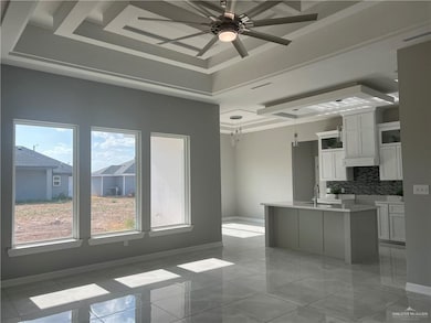 819 Whitewing St, Alamo, TX 78516 - photo 4