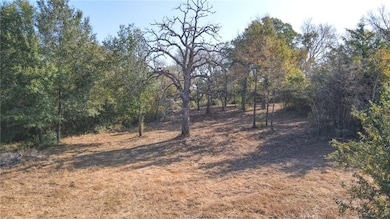 (Tract 2) Green Hill Rd, Caldwell, TX 77836 - photo 7