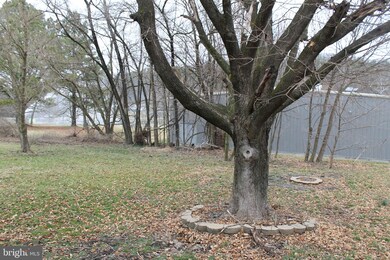 173 Mc Coole Ave, Paw Paw, WV 25434 - photo 6