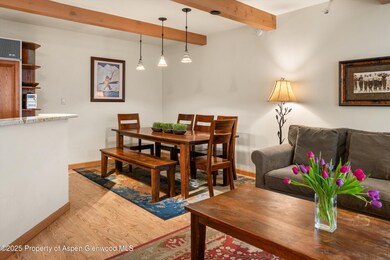 600 Carriage Way unit K9&10, Snowmass Village, CO 81615 - photo 7