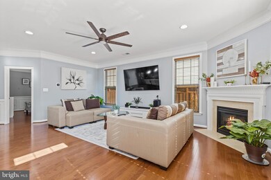 41831 Apatite Square, Aldie, VA 20105 - photo 6