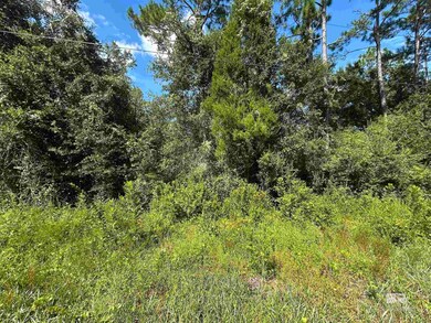 0 Liatrus Ln unit 12 384772, Seminole, AL 36574 - photo 6