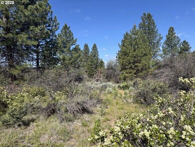 0 Lakeland Rd unit 17 178896656, Chiloquin, OR 97624 - photo 4