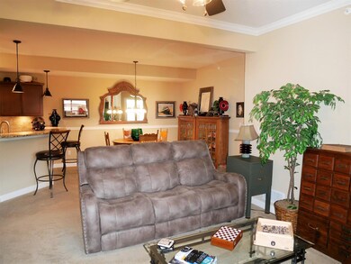 Living Room (2)